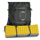 Kuprinė Osprey Aether Plus 100