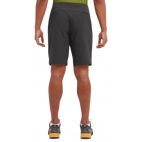 Vyri&scaron;ki &scaron;ortai Montane Tenacity Shorts